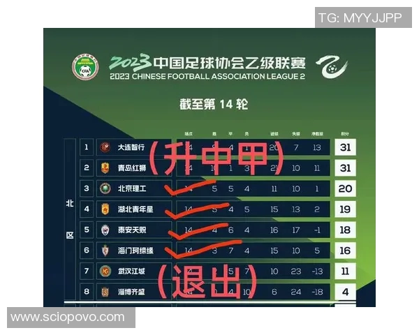 足球队的标准人数是多少如何组成一支完整的足球队伍